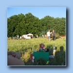 [Click to enlarge image]