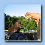 [Click to enlarge image]