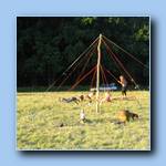 [Click to enlarge image]