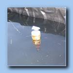 [Click to enlarge image]