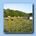 [Click to enlarge image]