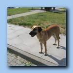 [Click to enlarge image]