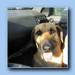 [Click to enlarge image]